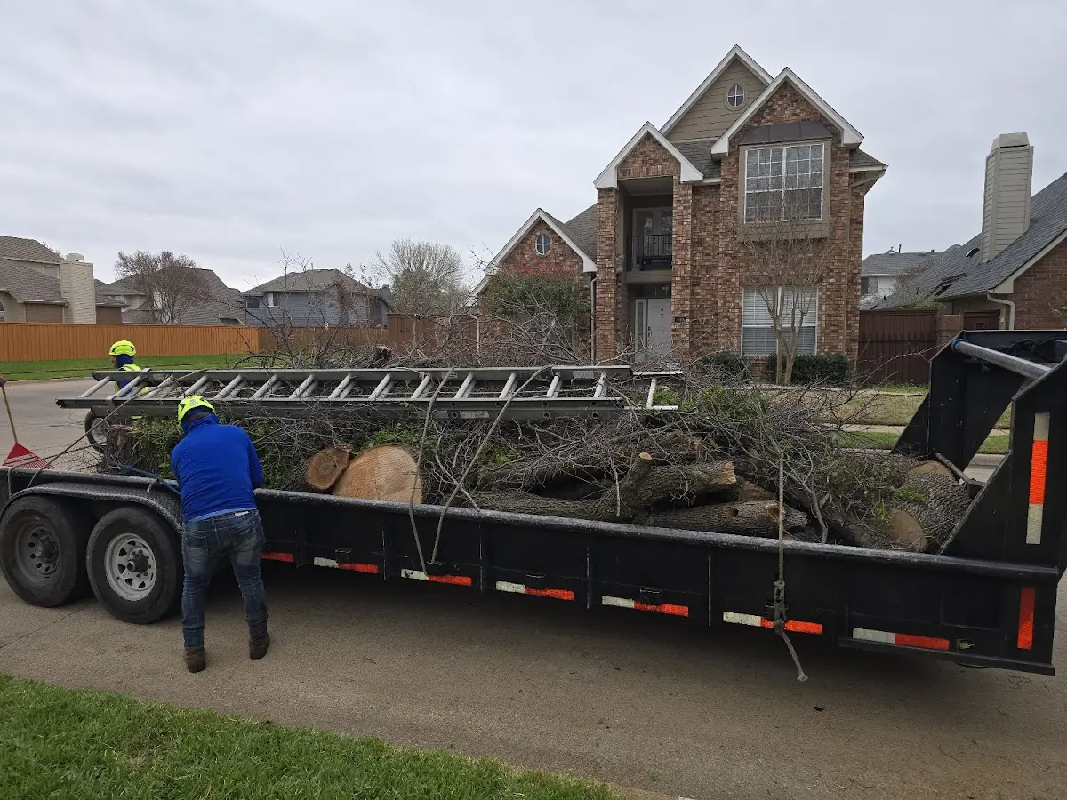 Expert Tree Pest Control with proper safety equipment in Meredith